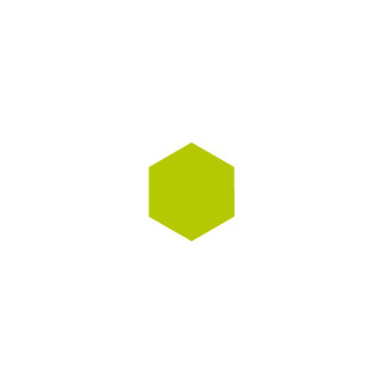 OWASP Nest
